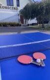 racket, outdoor, table, athletic game, table-tennis table, tennis racket, blue, racquet sport, furniture, racketlon